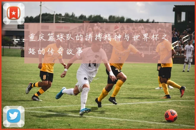 重庆篮球队的拼搏精神与世界杯之路的传奇故事
