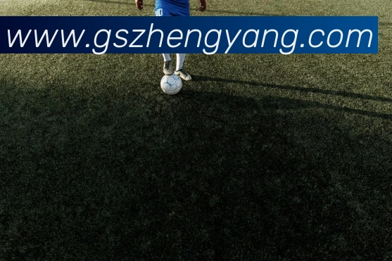 数据防护可视化
